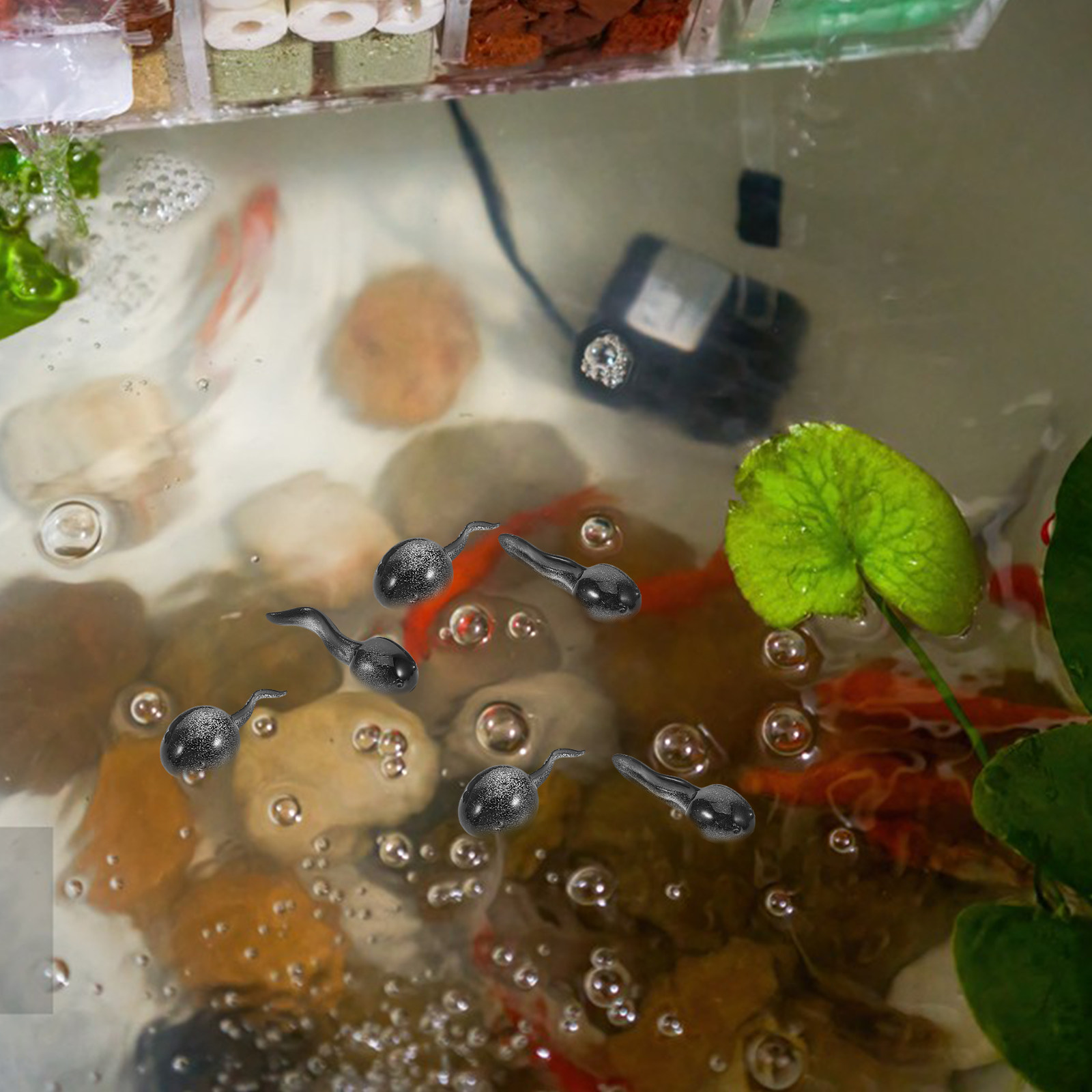 Bonsai Garden With Pond - 13 Stück lebensechte kleine Kaulquapen-Harzdekorationen für