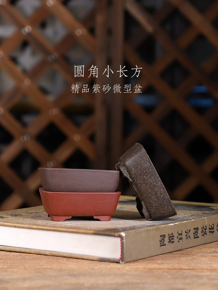 Bonsai Garden With Sand - Rechteckiger Bonsai-Topf mit violettem Sand und