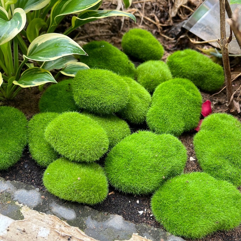 5/30 Stück Simulierte Moosstei – Bonsai Rock Garden Bewertung und Preis