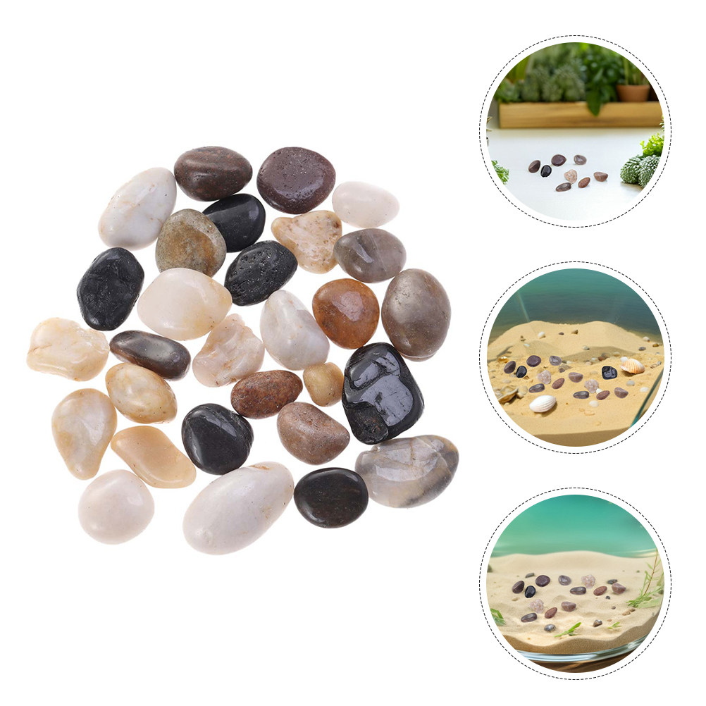 1 Set Leuchtend Polierte Fluss – Bonsai Rock Garden Bewertung und Preis