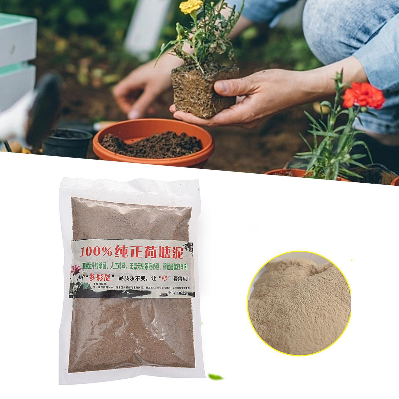 Natürlicher Lotus-Teichschlamm – Bonsai Garden With Pond Bewertung und Preis