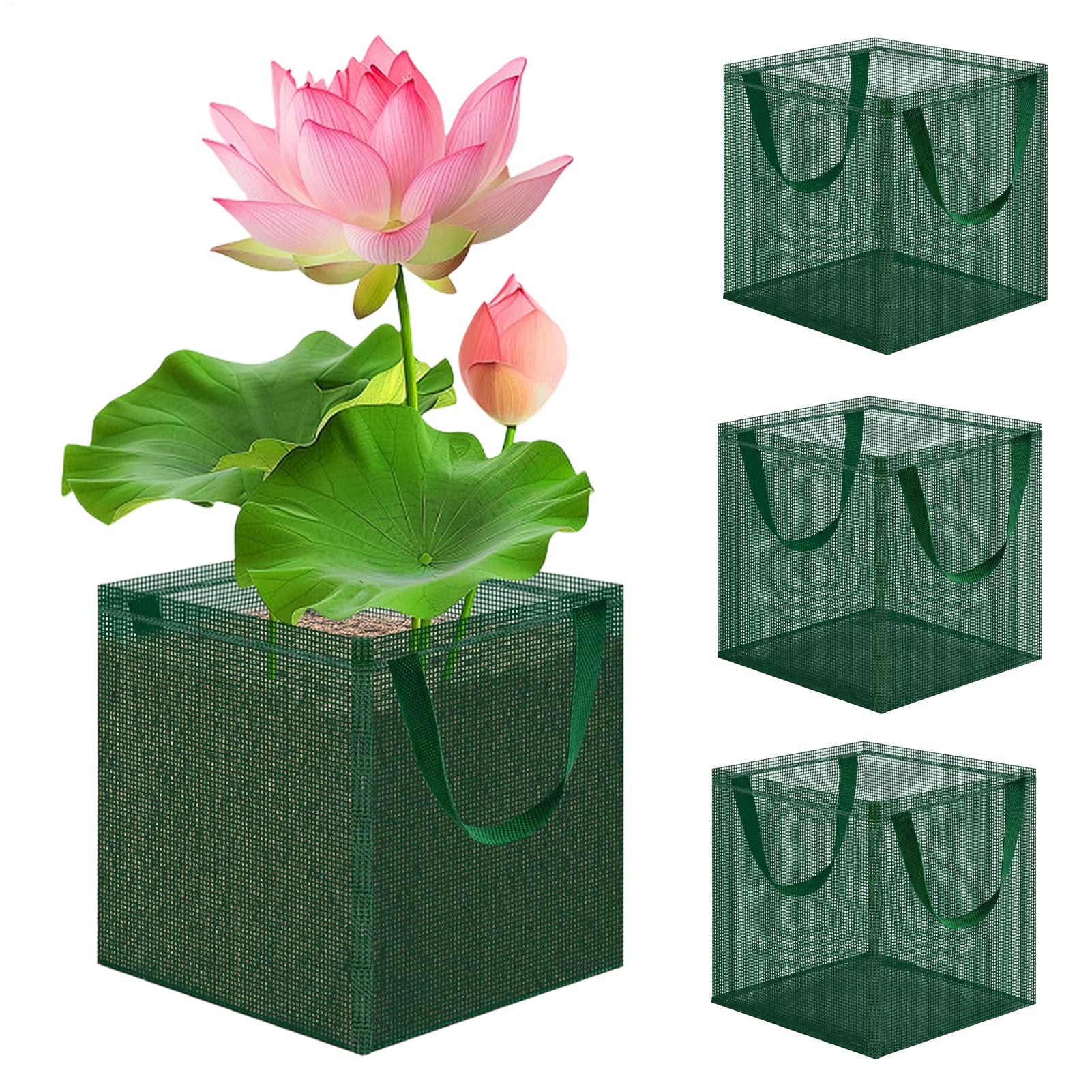 Teichkörbe für Bonsai, 4 Stück – Bonsai Garden With Pond Bewertung und Preis