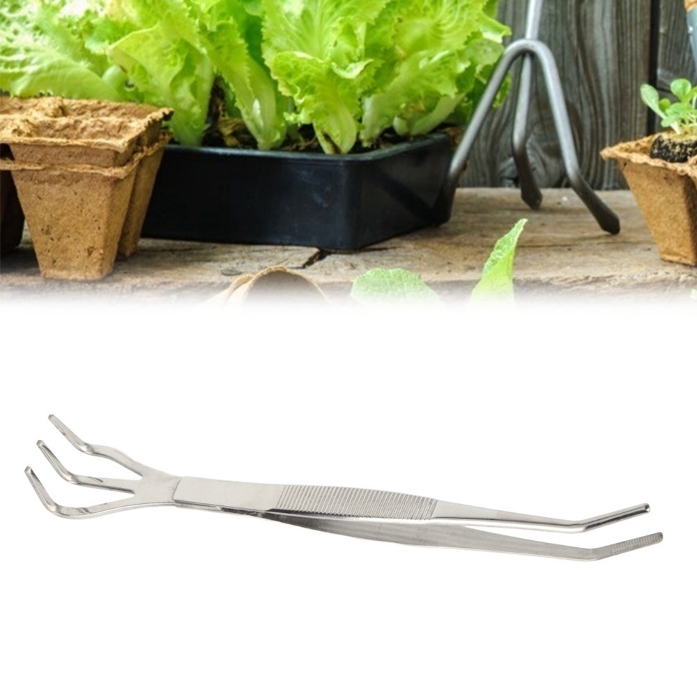 Langlebiger 2-in-1-Bonsai-Rech – Bonsai Garden Tools Bewertung und Preis