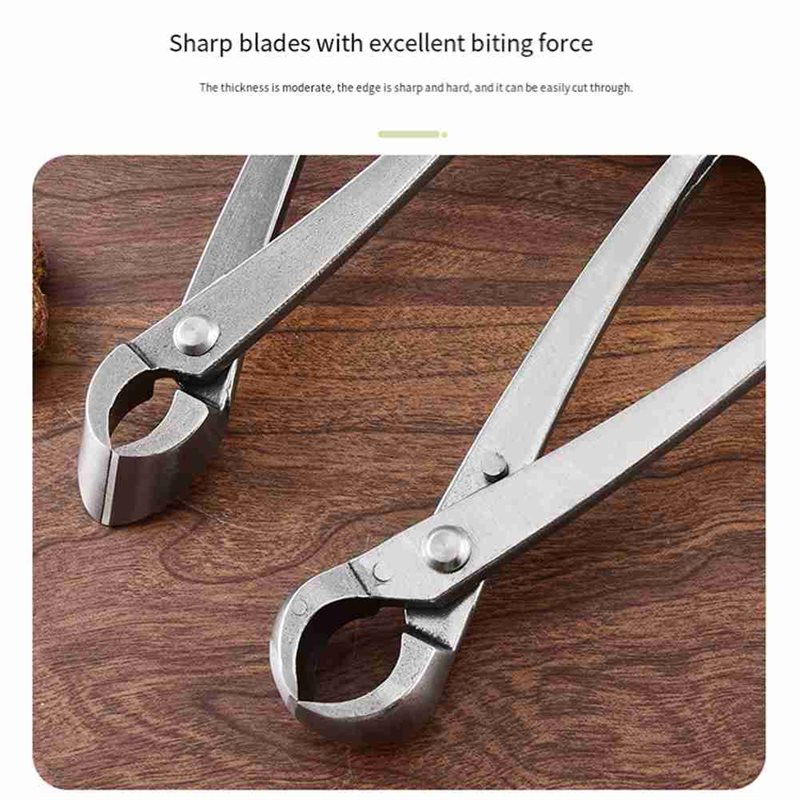 ABAE-Bonsai-Baumwerkzeuge, 4-t – Root Hook Tool Bewertung und Preis