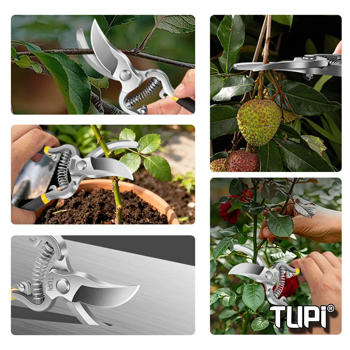 Robuste Gartenschere für Obstb – Bonsai Garden Tools Bewertung und Preis