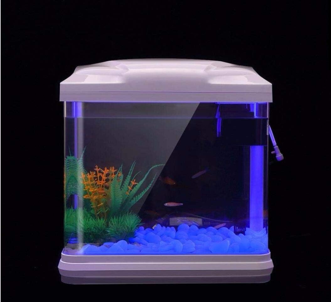 Aquarium-Felsen leuchten blaue – Bonsai Rock Garden Bewertung und Preis