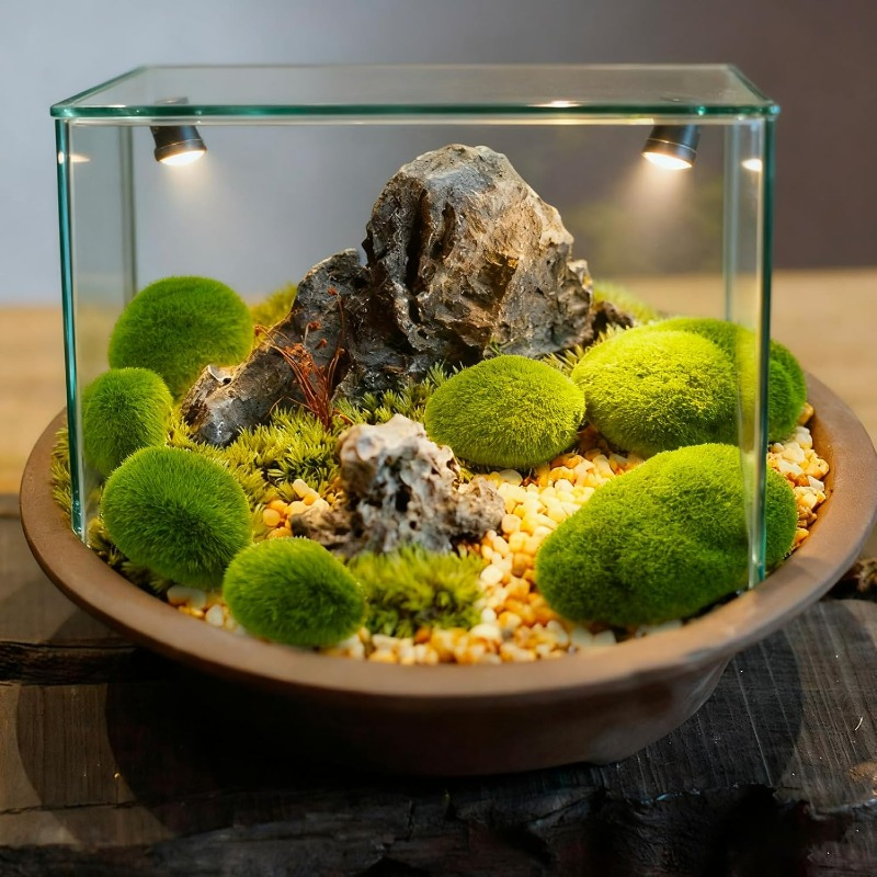 50/5 Stück Künstliche Schaumst – Bonsai Rock Garden Bewertung und Preis
