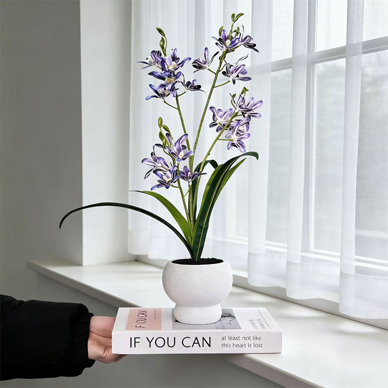 Neue Springen Orchidee Schwarz – Bonsai Garden With Sand Bewertung und Preis