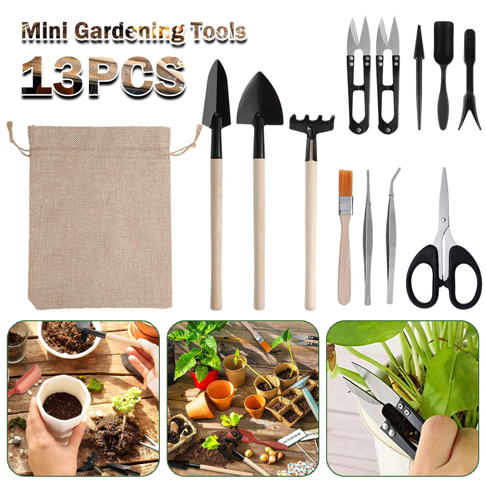 Sukkulenten Werkzeuge Mini Gar – Bonsai Garden Tools Bewertung und Preis