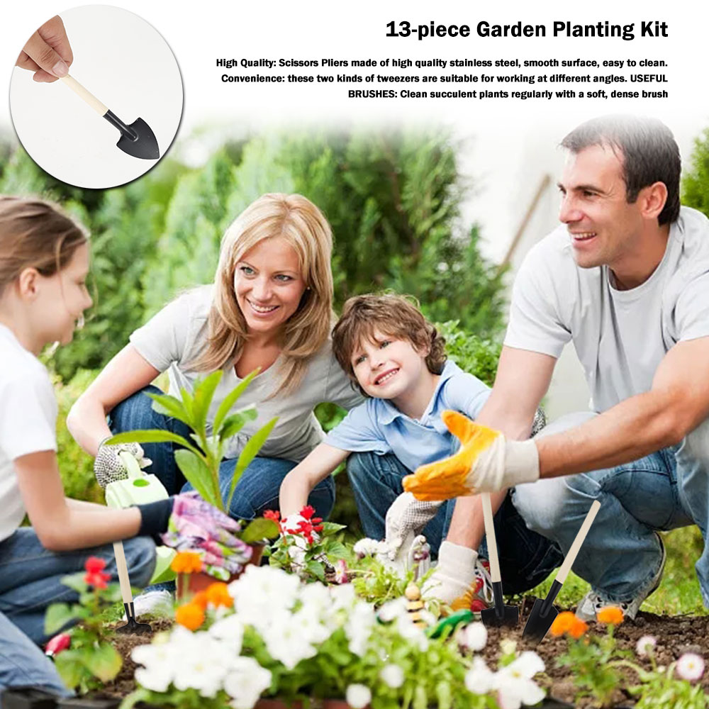 Sukkulenten Werkzeuge Mini Gar – Bonsai Garden Tools Bewertung und Preis