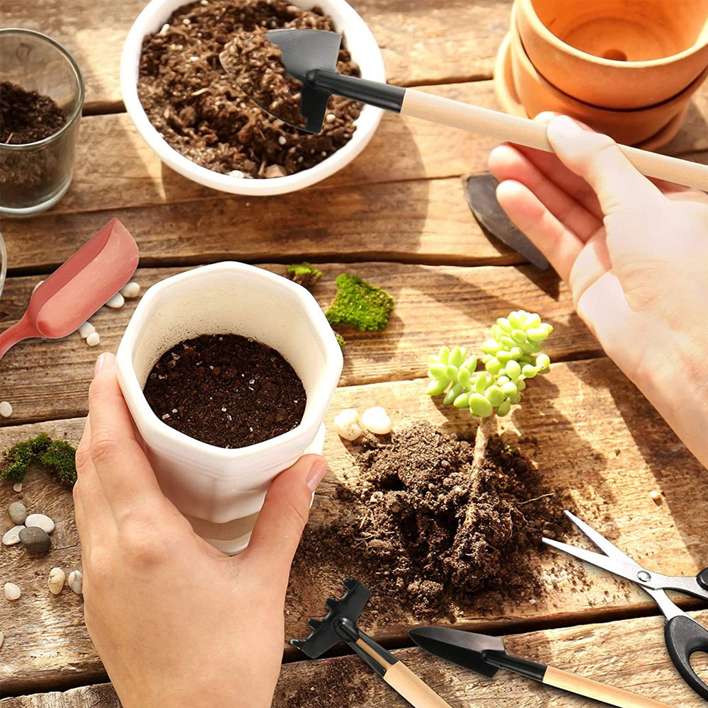 Sukkulenten Werkzeuge Mini Gar – Bonsai Garden Tools Bewertung und Preis