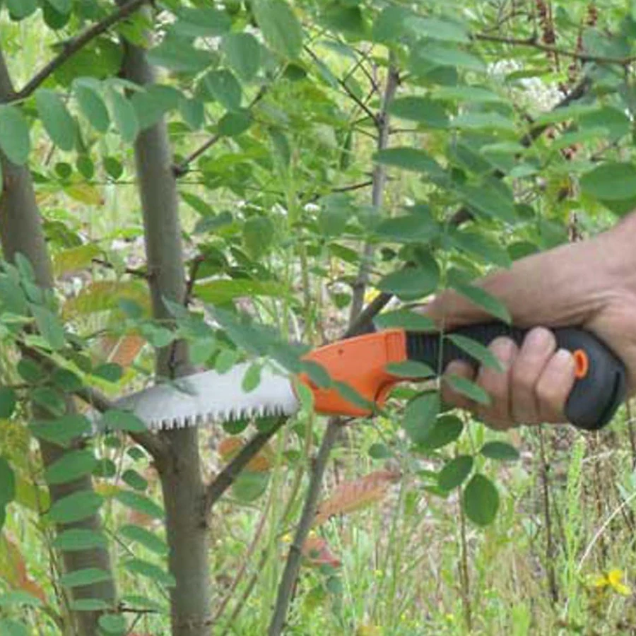 Gartenwerkzeug Landwirtschafts – Bonsai Saw Folding Bewertung und Preis