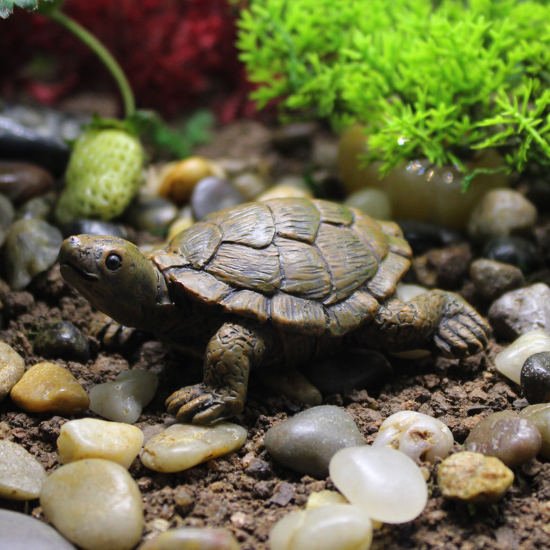 Kleines Schildkröten-Modell au – Bonsai Garden With Pond Bewertung und Preis
