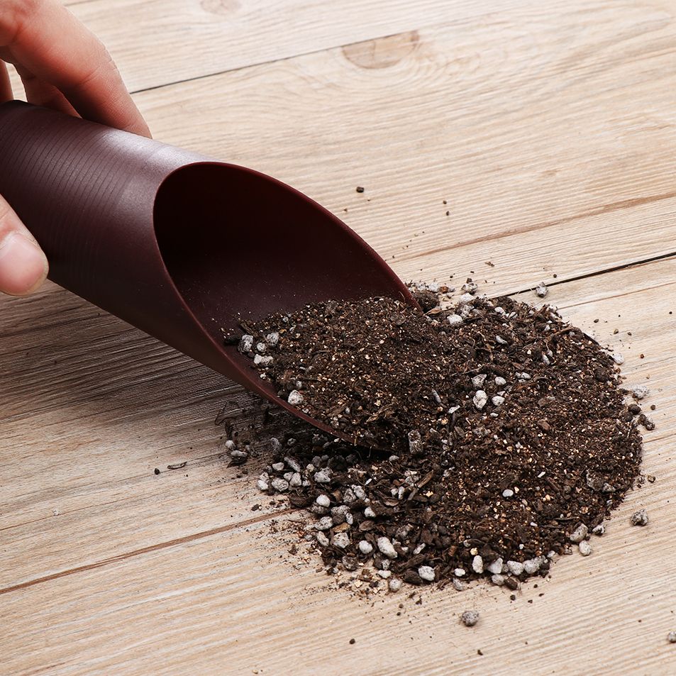 1PC Kunststoff Boden Schaufel  – Bonsai Garden Tools Bewertung und Preis